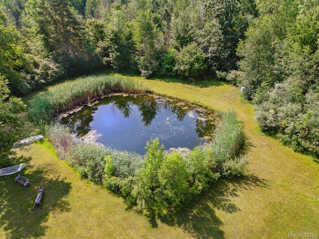 4591 Swaffer Rd, Millington, MI 48746 - bird's eye view of a large body of water and a heavily wooded area