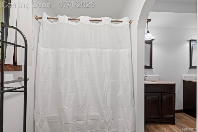 945 E Gunn Rd, Rochester, MI 48306 - bathroom with wood finished floors, vanity, and a shower with curtain