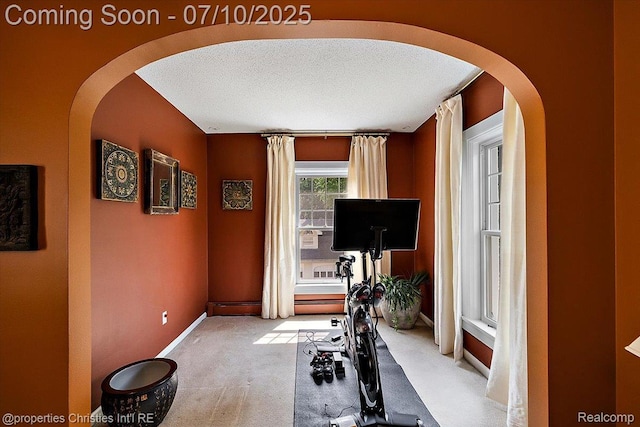 777 Kensington Ln, Bloomfield Hills, MI 48304 - workout area with arched walkways, carpet floors, and a textured ceiling