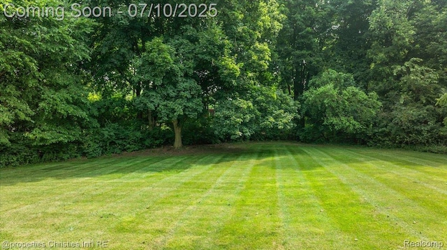 777 Kensington Ln, Bloomfield Hills, MI 48304 - view of green lawn