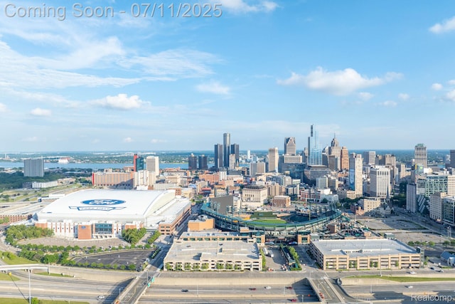 258 Edmund Pl, Detroit, MI 48201 - view of city