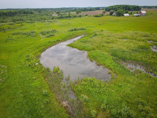 2620 N 184th Ave, Walkerville, MI 49459 - view of rural area
