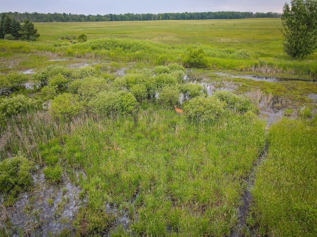 2620 N 184th Ave, Walkerville, MI 49459 - view of local wilderness with rural landscape