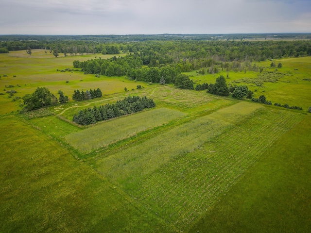 2620 N 184th Ave, Walkerville, MI 49459 - aerial view of sparsely populated area