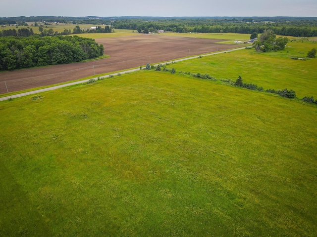2620 N 184th Ave, Walkerville, MI 49459 - aerial view of sparsely populated area