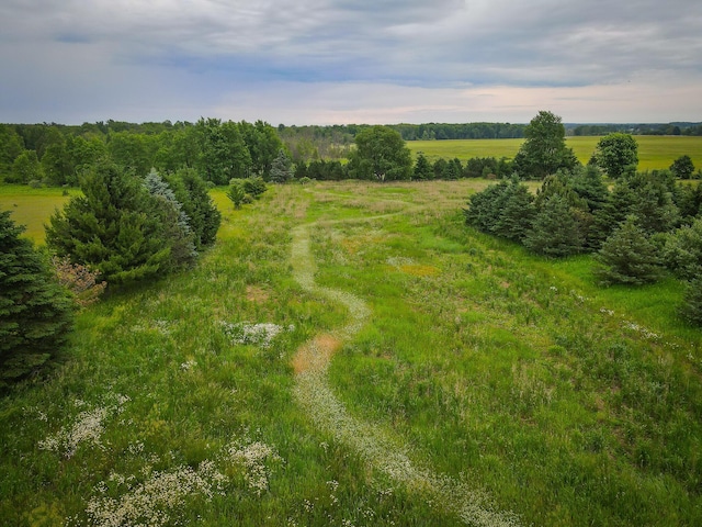 2620 N 184th Ave, Walkerville, MI 49459 - view of rural area