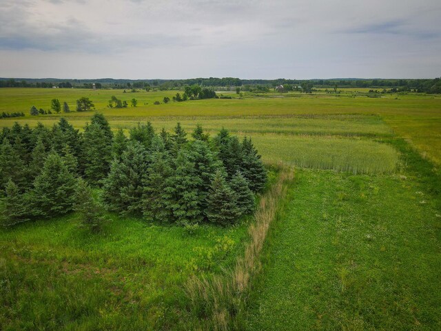 2620 N 184th Ave, Walkerville, MI 49459 - aerial view of sparsely populated area