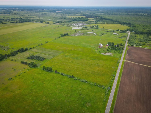 2620 N 184th Ave, Walkerville, MI 49459 - aerial view of sparsely populated area featuring a pastoral area