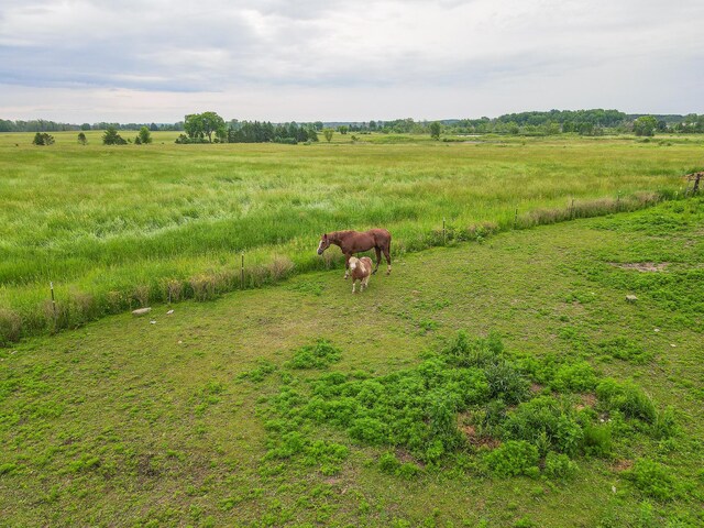 2620 N 184th Ave, Walkerville, MI 49459 - view of yard with a view of countryside
