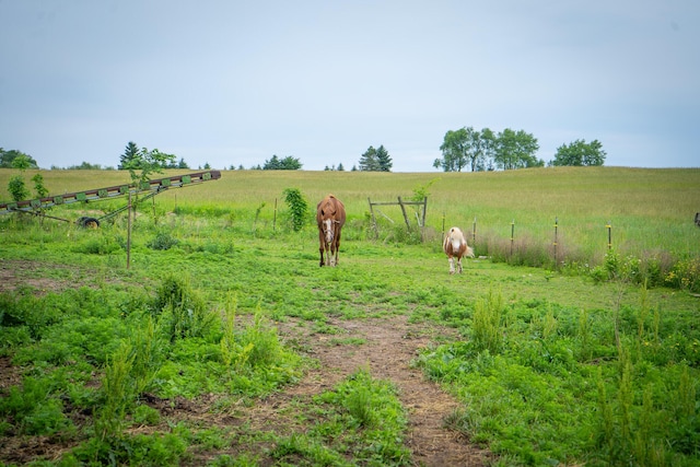 2620 N 184th Ave, Walkerville, MI 49459 - view of yard with a view of rural / pastoral area