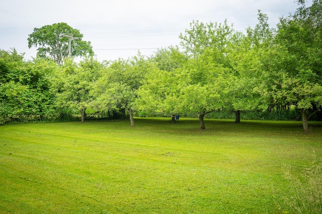 2620 N 184th Ave, Walkerville, MI 49459 - view of grassy yard