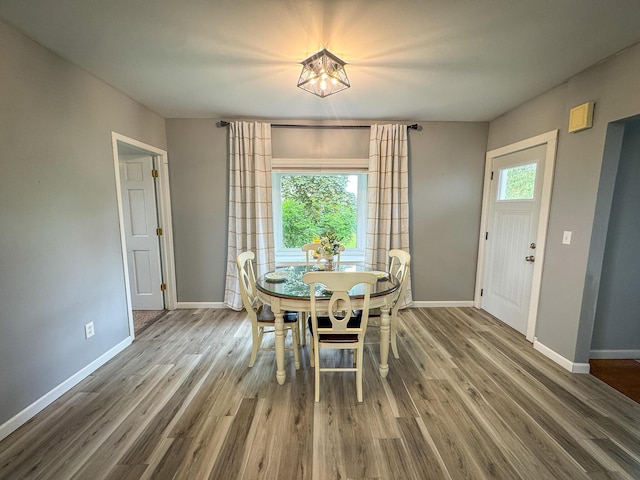 2620 N 184th Ave, Walkerville, MI 49459 - dining space with wood finished floors and a chandelier
