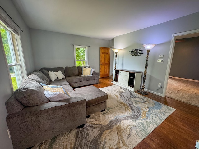 2620 N 184th Ave, Walkerville, MI 49459 - living area with wood finished floors