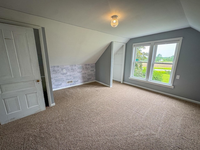2620 N 184th Ave, Walkerville, MI 49459 - bonus room featuring carpet flooring and vaulted ceiling