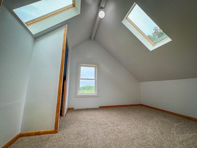 2620 N 184th Ave, Walkerville, MI 49459 - bonus room featuring a skylight and carpet