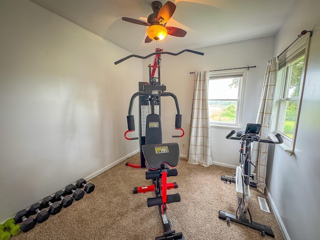 2620 N 184th Ave, Walkerville, MI 49459 - exercise room with ceiling fan and carpet floors