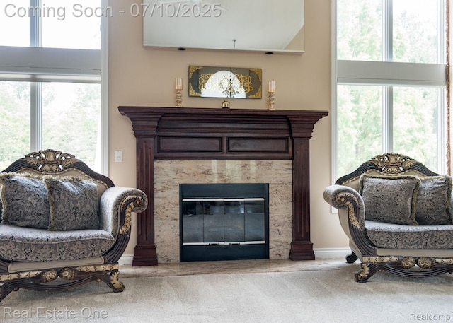 6120 Evanswood Rd, Troy, MI 48085 - detailed view of carpet and a high end fireplace