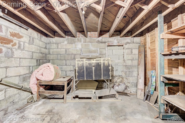 66 Oakdale Blvd, Pleasant Ridge, MI 48069 - unfinished basement with concrete block wall