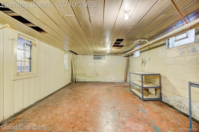 66 Oakdale Blvd, Pleasant Ridge, MI 48069 - below grade area featuring healthy amount of natural light and concrete block wall