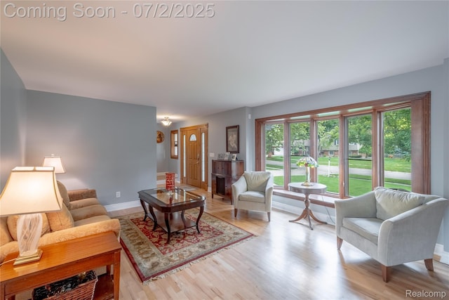 11216 Old Bridge Rd, Grand Blanc, MI 48439 - living room with light wood-style flooring and healthy amount of natural light
