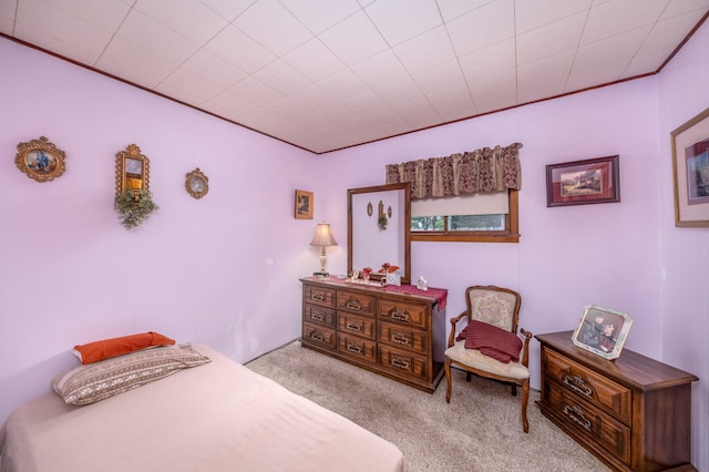 916 Ernst St, Cadillac, MI 49601 - photo 15