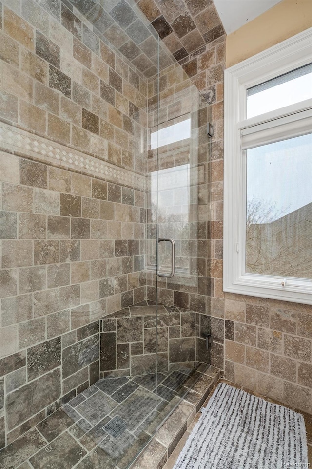 18198 Shelley Pond, Northville, MI 48168 - bathroom with a shower stall