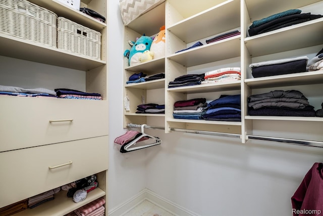 18198 Shelley Pond, Northville, MI 48168 - view of walk in closet