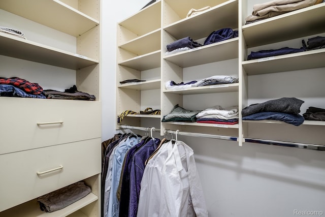 18198 Shelley Pond, Northville, MI 48168 - view of spacious closet