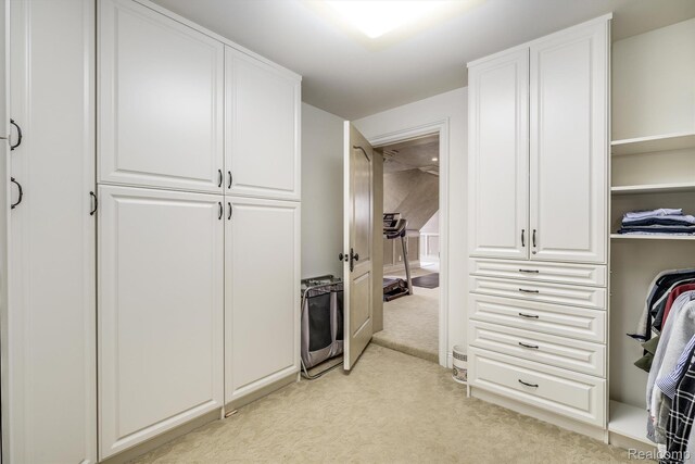 18198 Shelley Pond, Northville, MI 48168 - spacious closet featuring light carpet
