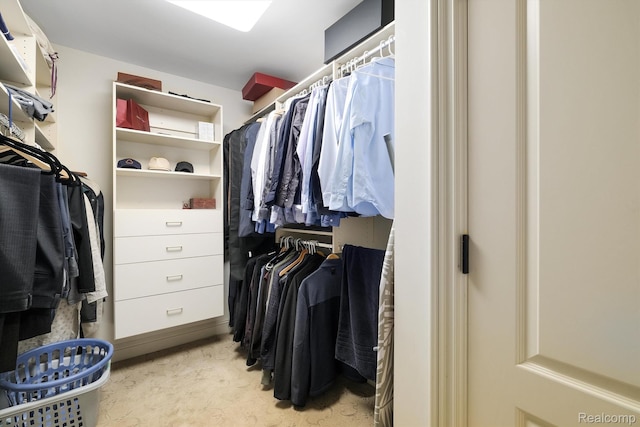 18198 Shelley Pond, Northville, MI 48168 - view of walk in closet