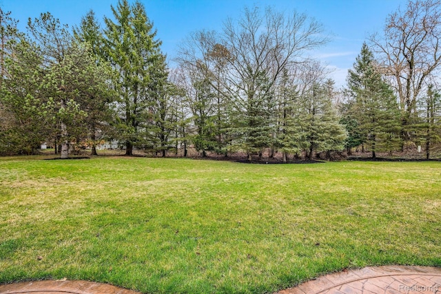18198 Shelley Pond, Northville, MI 48168 - view of grassy yard