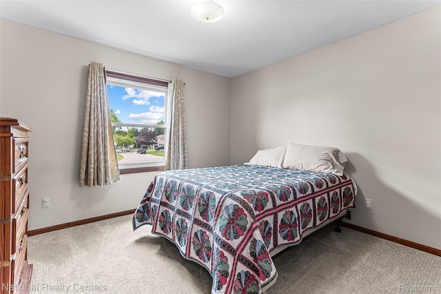 1306 Bishops Ter, Wixom, MI 48393 - bedroom featuring baseboards and carpet flooring