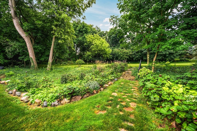 2010 Devonshire Rd, Ann Arbor, MI 48104 - photo 112