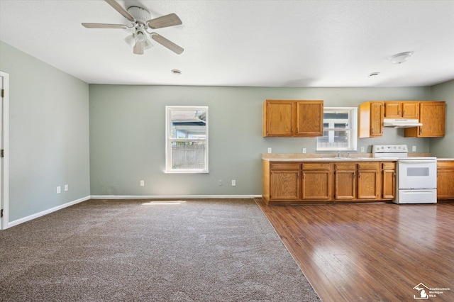 1107 W Temperance Rd, Temperance, MI 48182 - kitchen featuring electric range, under cabinet range hood, a ceiling fan, and light countertops