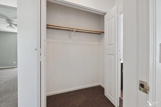 1107 W Temperance Rd, Temperance, MI 48182 - view of closet
