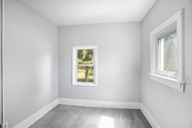 6950 N Gibbs Rd, Albion, MI 49224 - photo 16