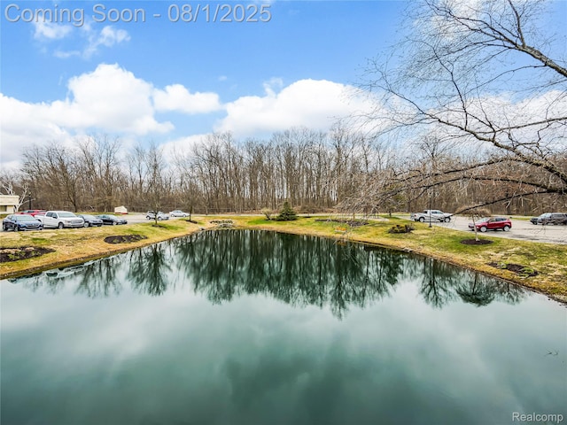 43100 12 Oaks Crescent Dr Unit 5011, Novi, MI 48377 - photo 34