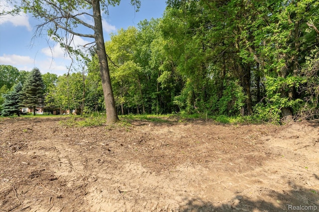 5 Donna Ln, Dryden, MI 48428 - photo 4