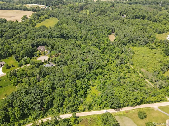5 Donna Ln, Dryden, MI 48428 - photo 12