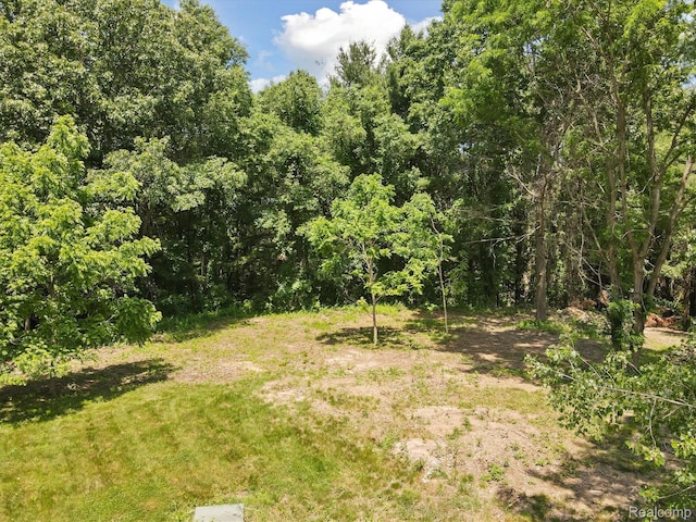 5 Donna Ln, Dryden, MI 48428 - photo 20