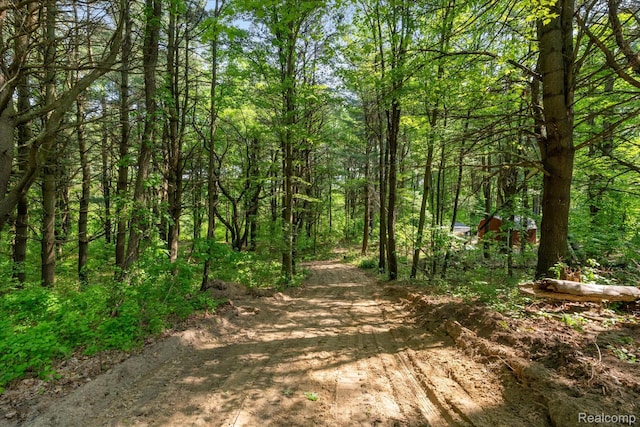 5 Donna Ln, Dryden, MI 48428 - photo 5