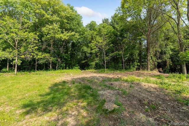 5 Donna Ln, Dryden, MI 48428 - photo 1
