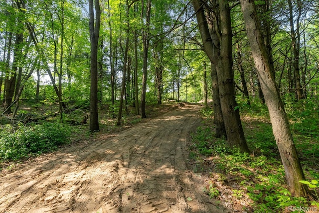 5 Donna Ln, Dryden, MI 48428 - photo 9