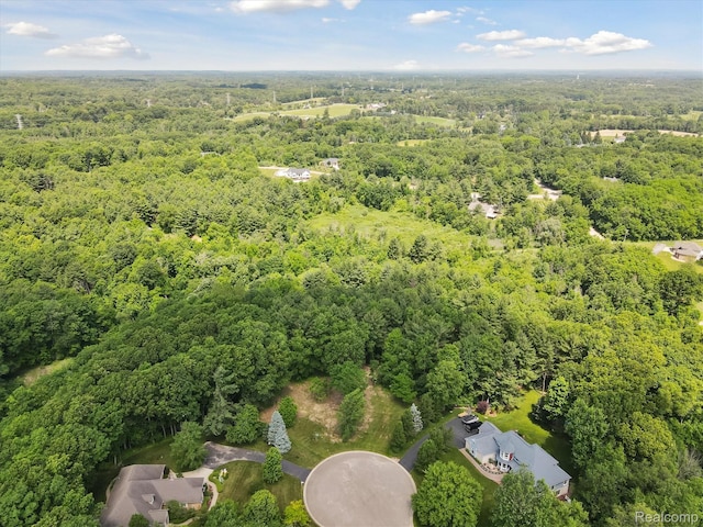 5 Donna Ln, Dryden, MI 48428 - photo 17