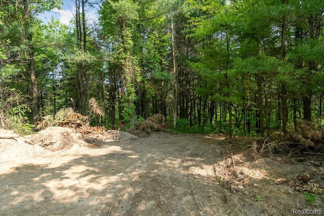 5 Donna Ln, Dryden, MI 48428 - photo 3