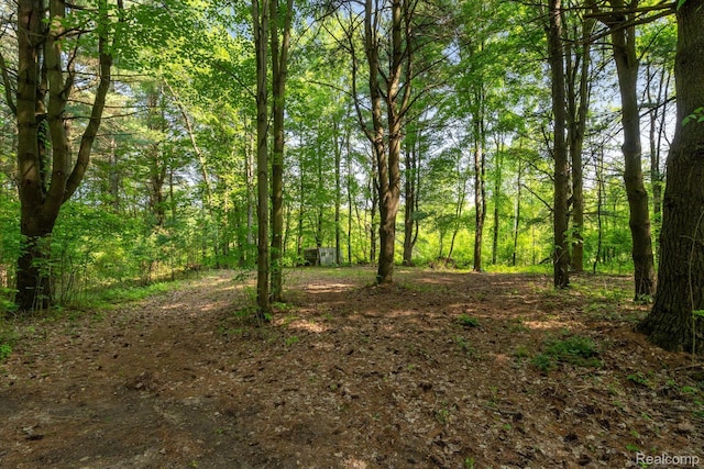 5 Donna Ln, Dryden, MI 48428 - photo 6