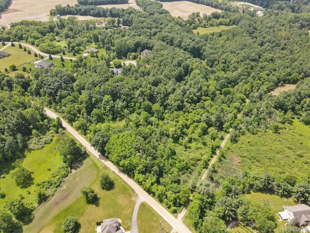 5 Donna Ln, Dryden, MI 48428 - photo 14