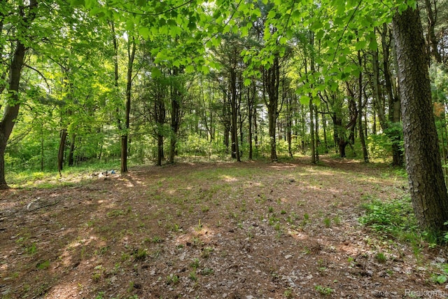 5 Donna Ln, Dryden, MI 48428 - photo 8
