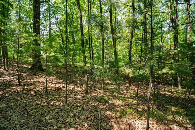 4513 Weathering Heights Rd, Traverse City, MI 49686