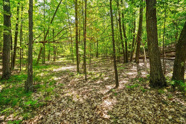 4513 Weathering Heights Rd, Traverse City, MI 49686